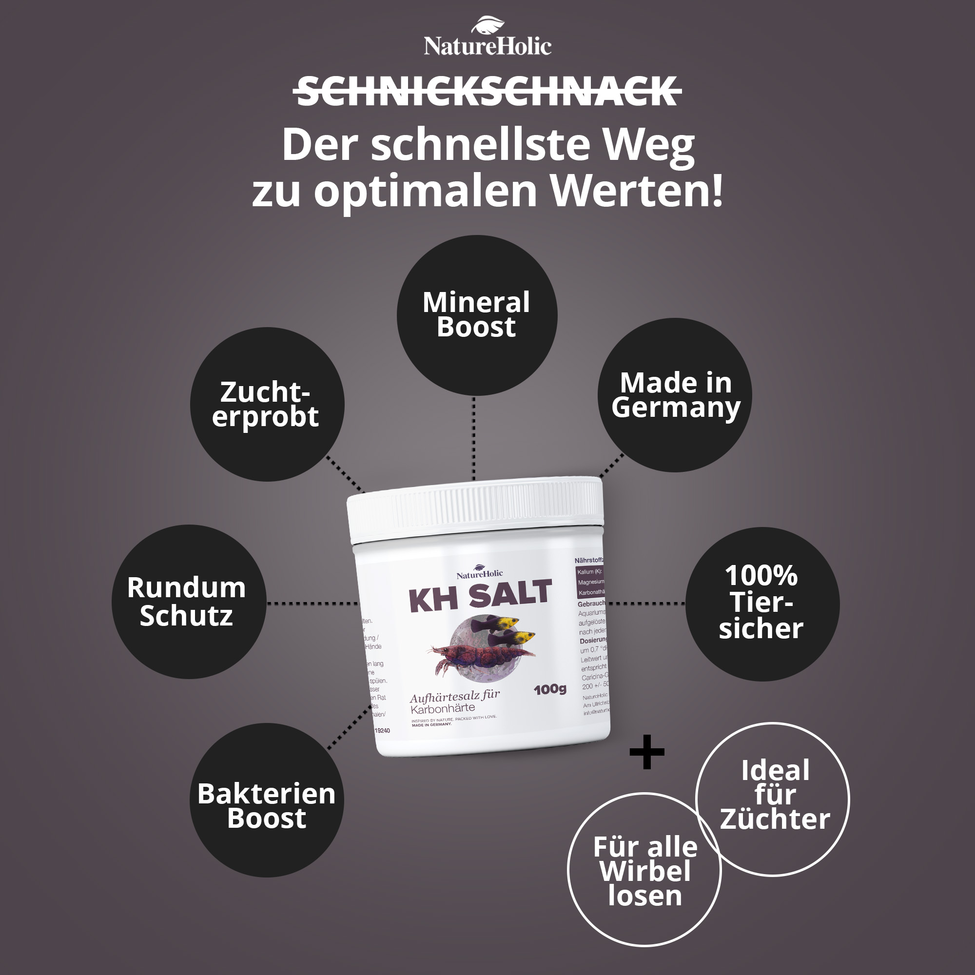 KH Salt Aufhärtessalz 100g Produktbild mit Vorteilen